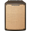 Ibanez T80II Troubadour Acoustic Amplifier - 80 Watt
