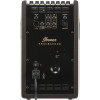 Ibanez T80II Troubadour Acoustic Amplifier - 80 Watt