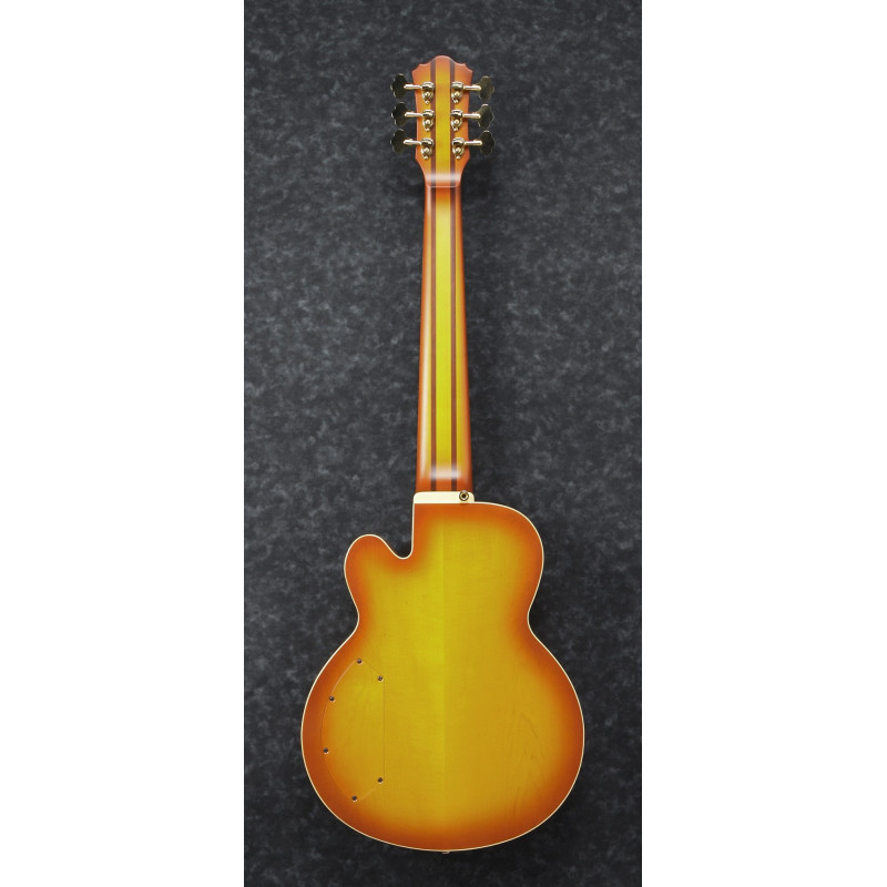 Ibanez TCB1006-ALM Thundercat Signature Hollow Body Bass 6-String - Autumn Leaf Burst Matte + Case