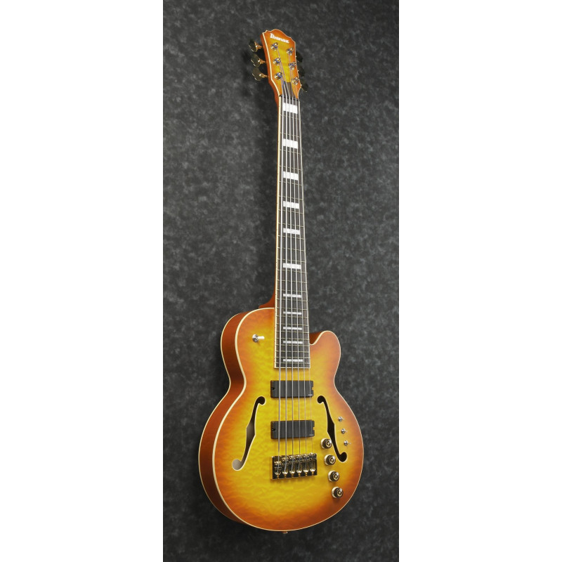 Ibanez TCB1006-ALM Thundercat Signature Hollow Body Bass 6-String - Autumn Leaf Burst Matte + Case