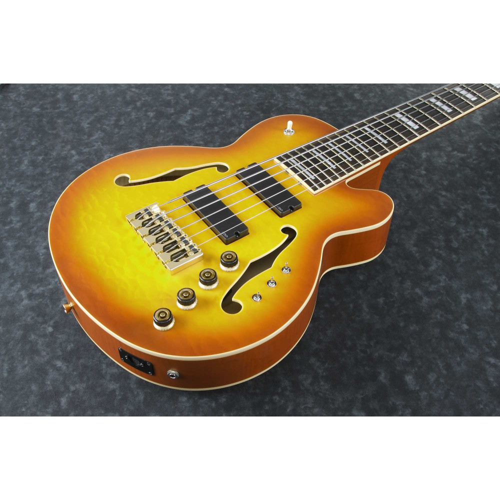 Ibanez TCB1006-ALM Thundercat Signature Hollow Body Bass 6-String - Autumn Leaf Burst Matte + Case