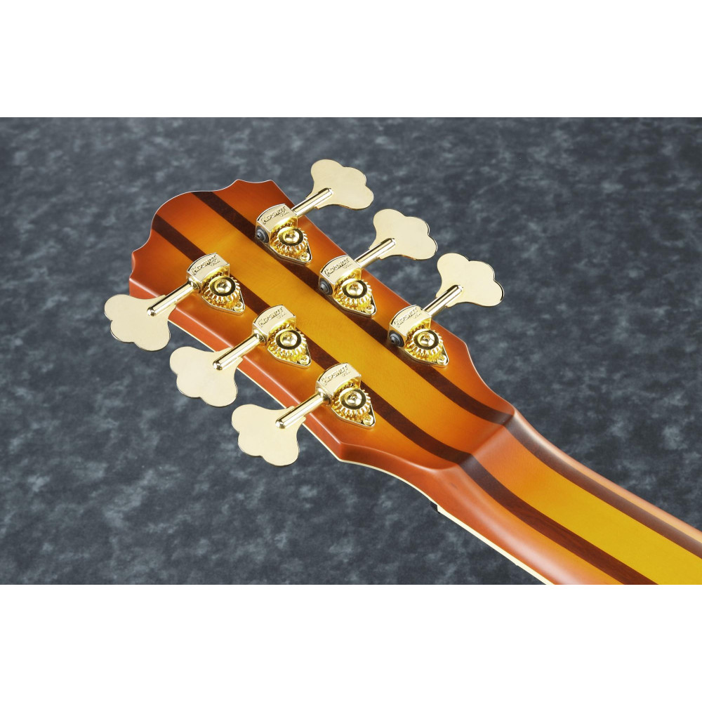 Ibanez TCB1006-ALM Thundercat Signature Hollow Body Bass 6-String - Autumn Leaf Burst Matte + Case