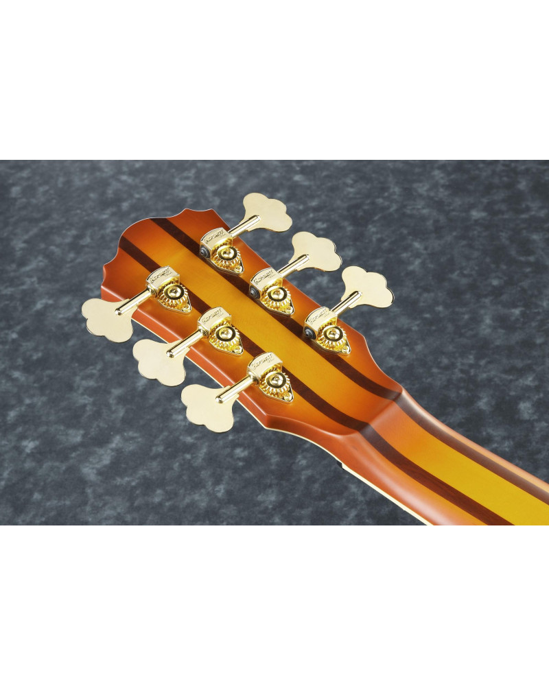 Ibanez TCB1006-ALM Thundercat Signature Hollow Body Bass 6-String - Autumn Leaf Burst Matte + Case