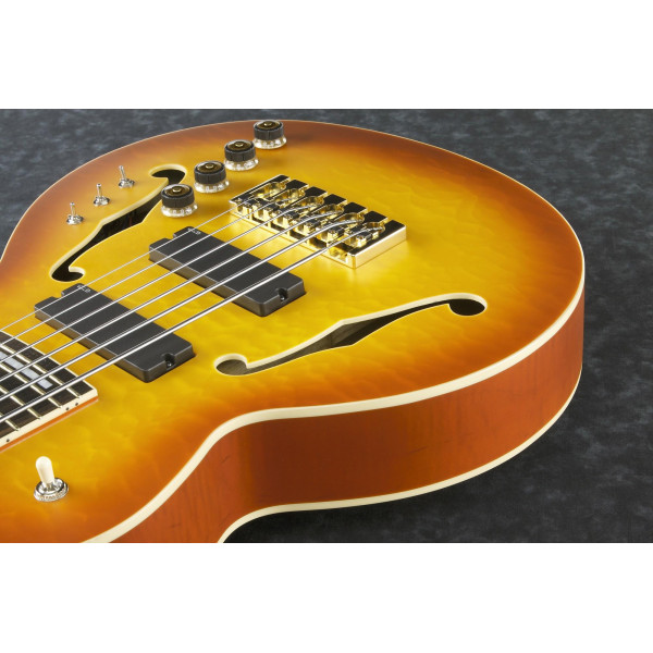 Ibanez TCB1006-ALM Thundercat Signature Hollow Body Bass 6-String - Autumn Leaf Burst Matte + Case