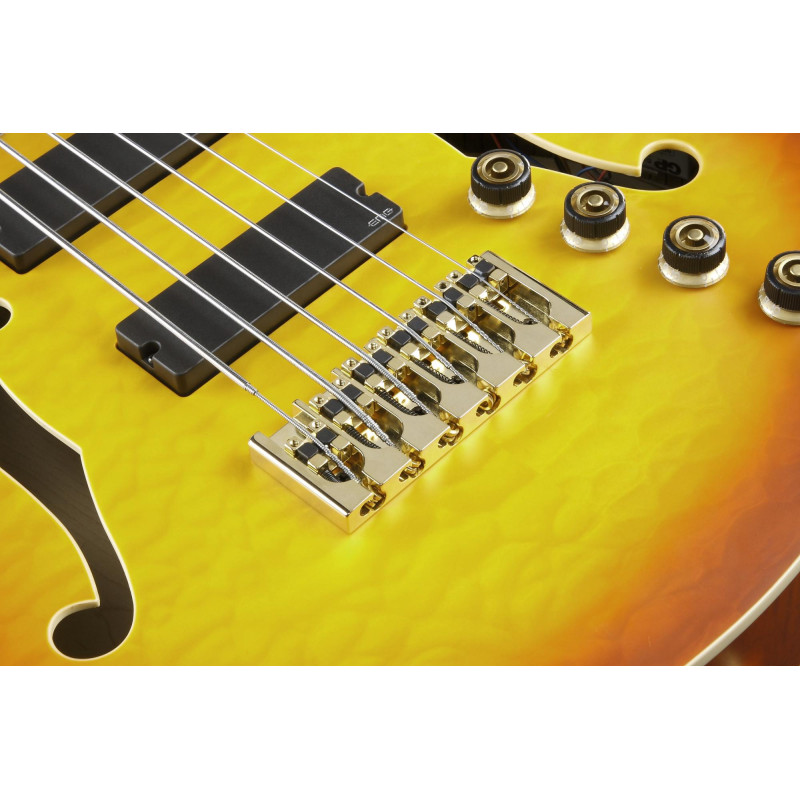 Ibanez TCB1006-ALM Thundercat Signature Hollow Body Bass 6-String - Autumn Leaf Burst Matte + Case