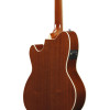 Ibanez TCM50-VBS Talman Acoustic Guitar 6-String - Vintage Brown Sunburst