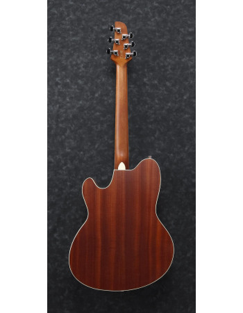 Ibanez TCY12E-OPN Talman Acoustic Guitar 6-String - Open Pore Natural