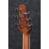 Ibanez TCY12E-OPN Talman Acoustic Guitar 6-String - Open Pore Natural