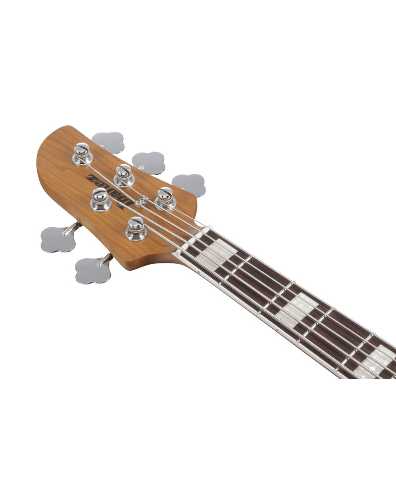 Ibanez TMB405TA-CBS Talman Electric Bass 5-String - Cosmic Blue Starburst
