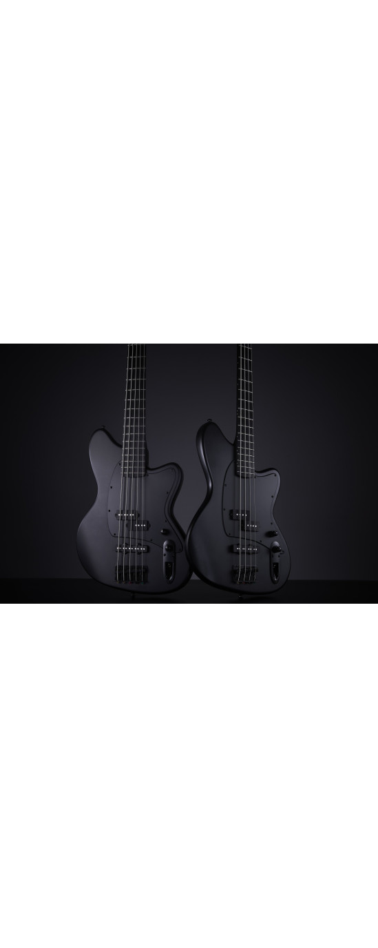 Ibanez TMB425B-BKF Talman Electric Bass 5-String - Black Flat