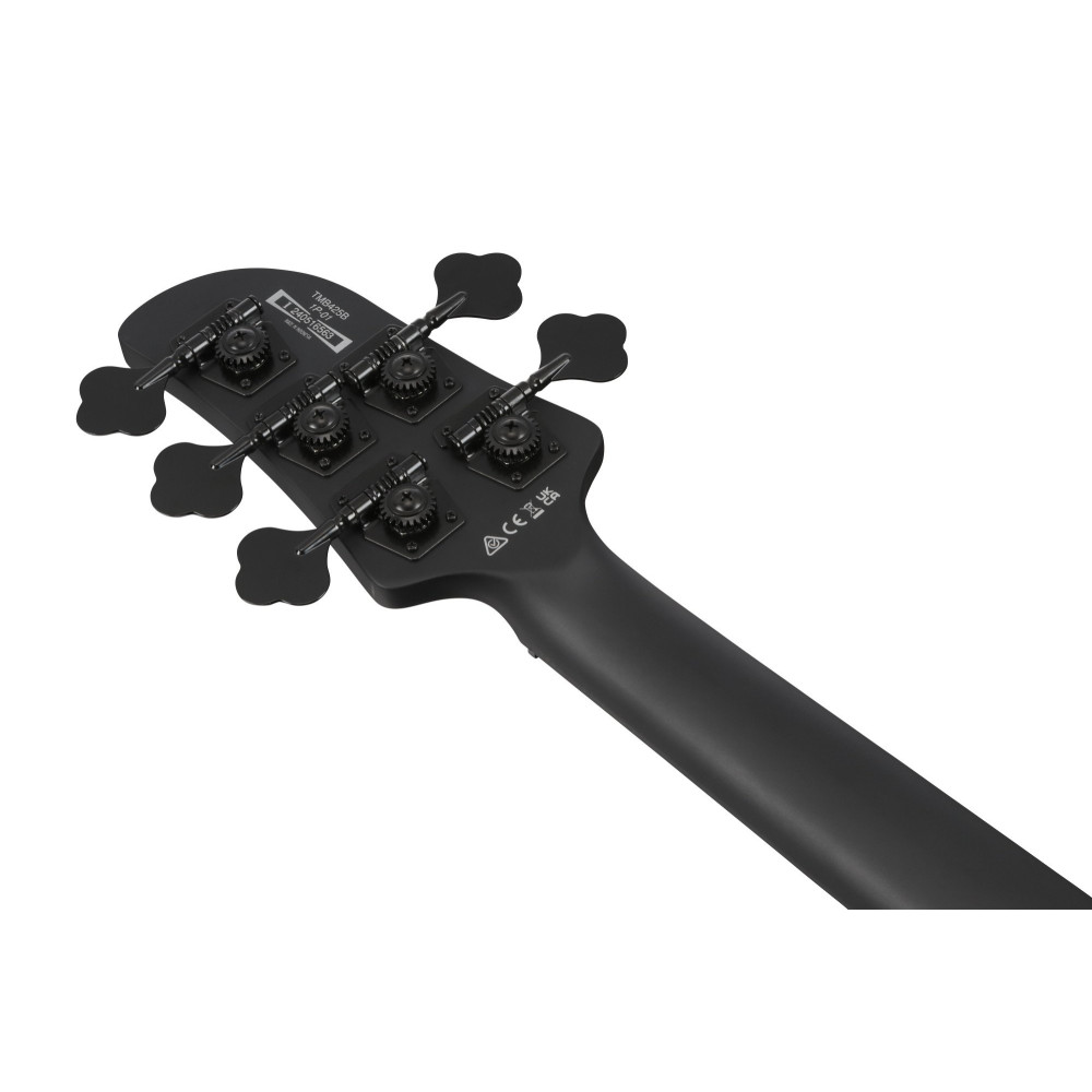 Ibanez TMB425B-BKF Talman Electric Bass 5-String - Black Flat