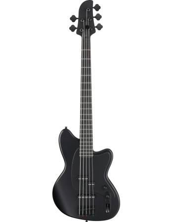 Ibanez TMB425B-BKF Talman Electric Bass 5-String - Black Flat