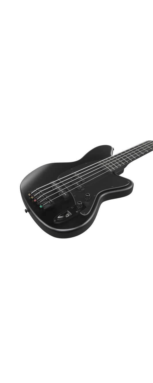 Ibanez TMB425B-BKF Talman Electric Bass 5-String - Black Flat