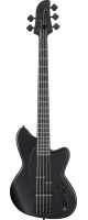Ibanez TMB425B-BKF Talman Electric Bass 5-String - Black Flat