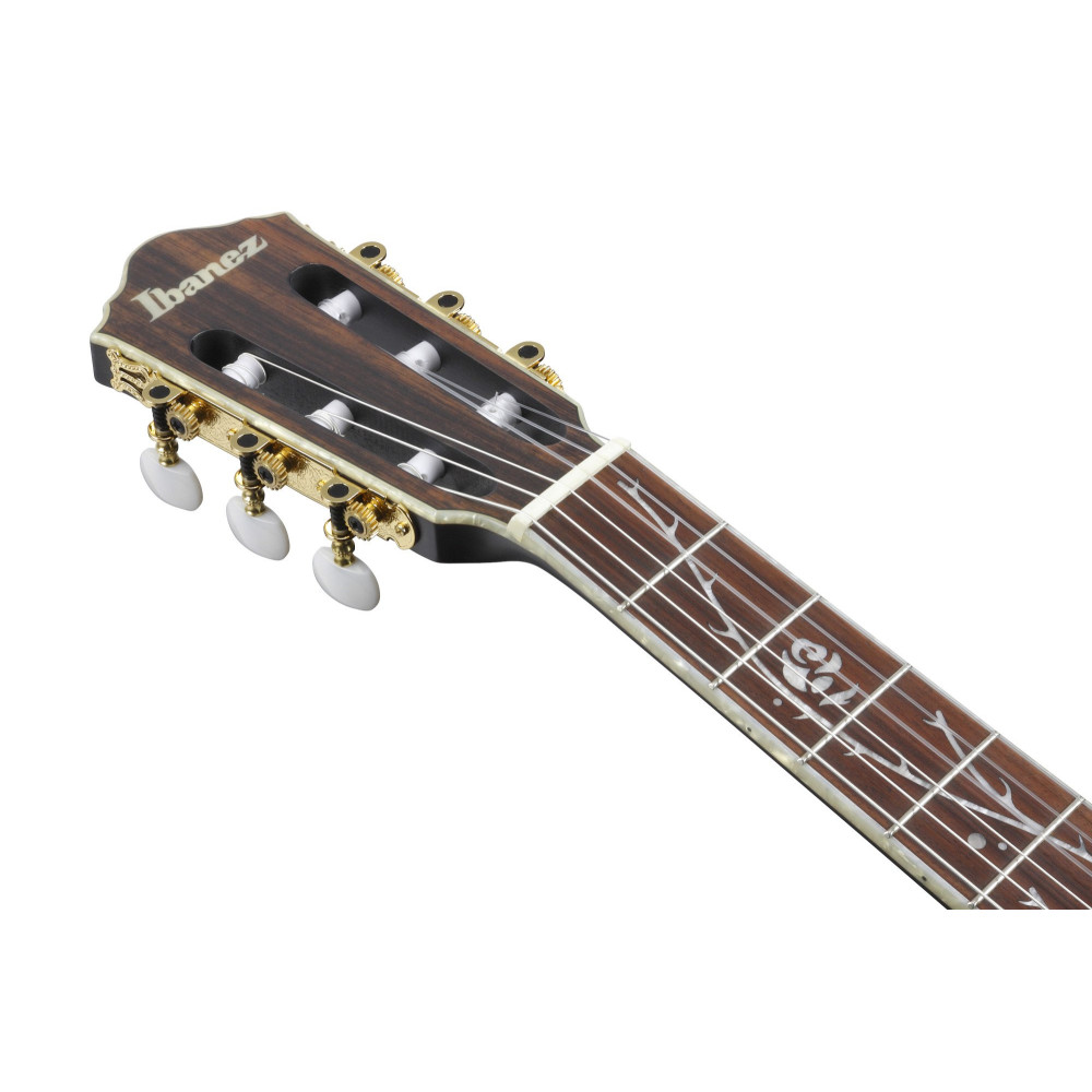 Ibanez TOD10N-TKF Tim Henson Signature Nylon String Guitar 6-String - Transparent Black Flat