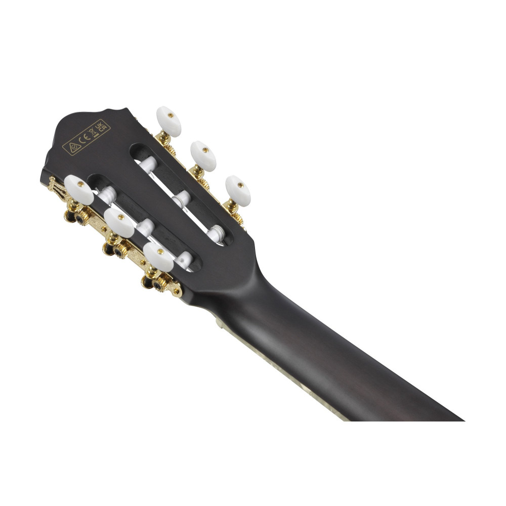 Ibanez TOD10N-TKF Tim Henson Signature Nylon String Guitar 6-String - Transparent Black Flat