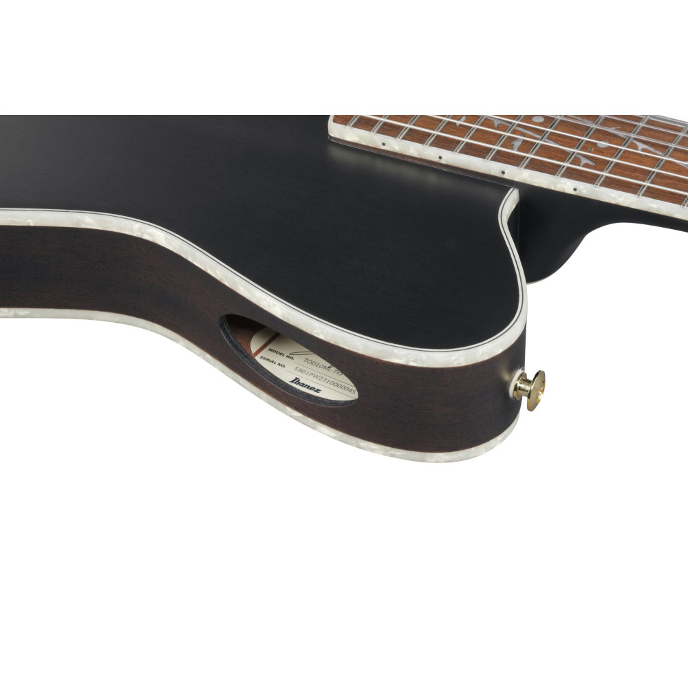 Ibanez TOD10NL-TKF Tim Henson Signature Nylon String Guitar 6-String Lefty - Transparent Black Flat