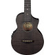 Ibanez UEW12E-BIF UEW Concert Ukulele 4-String - Black Ice Flat