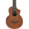 Ibanez UEW5E-OPN UEW Concert Ukulele 4-String - Open Pore Natural