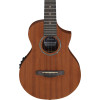 Ibanez UEWT5E-OPN UEW Tenor Ukulele 4-String - Open Pore Natural