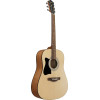 Ibanez V50LNJP-OPN Jampack Acoustic Guitar Set 6-String Lefty - Open Pore Natural + Gig Bag, Strap, Tuner & Picks