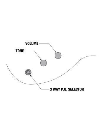 Ibanez XPT420DX-RGC XPT Electric Guitar 6-String - Rose Gold Chameleon + Gig Bag