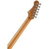 JET Guitars JJ-350 GR R