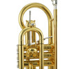 Jupiter JCR1100Q Bb Cornet, lacquered