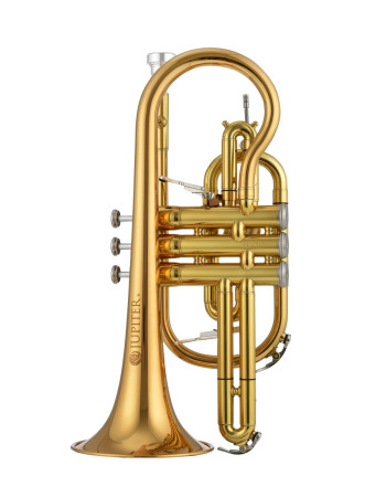 Jupiter JCR1100RQ Bb cornet, Rose brass, lacquered