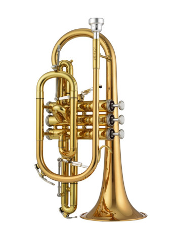 Jupiter JCR1100RQ Bb cornet, Rose brass, lacquered