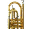 Jupiter JCR1100RQ Bb cornet, Rose brass, lacquered
