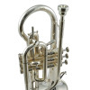 Jupiter JCR1100RSQ Bb cornet, Rose brass, silver-plated