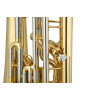 Jupiter JEP1025 Bb Euphonium, lacquered, 3+1 valves
