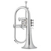Jupiter JFH1100RSQ Bb Flugelhorn, gold brass, silver-plated