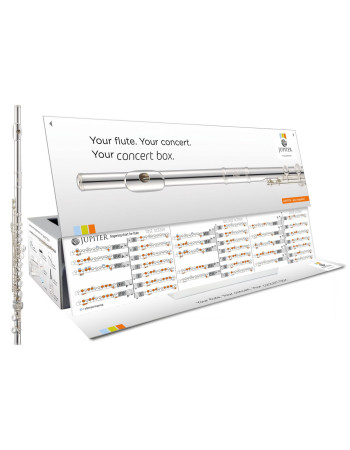 Jupiter JFL700-CBOX-EN Flute, Offset G, Concertbox, English