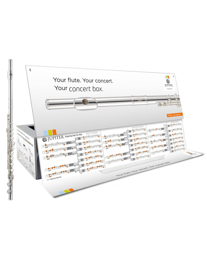 Jupiter JFL700E-CBOX-EN Flute, E mechanism, Concertbox, English