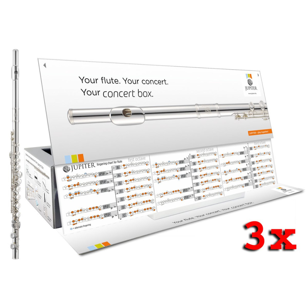 Jupiter JFL700EC-CBOX-3EN Flute, E mechanism, Solid-silver riser, Concertbox, English, 3 units