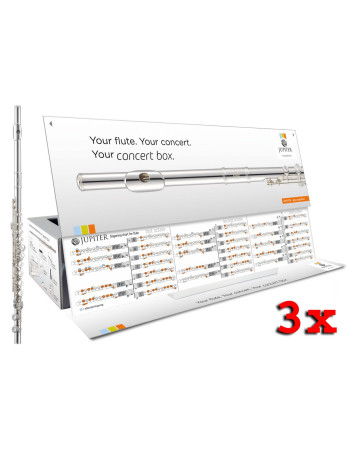 Jupiter JFL700EC-CBOX-3EN Flute, E mechanism, Solid-silver riser, Concertbox, English, 3 units