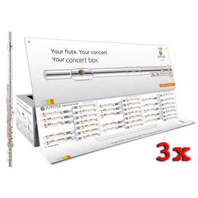 Jupiter JFL700REC-CBOX-3EN Flute, op.-ho.keys, E mech., Sol.-silv.riser, Concertbox, Engl ., 3 units