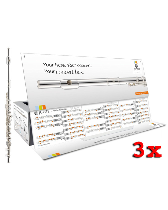 Jupiter JFL700REC-CBOX-3EN Flute, op.-ho.keys, E mech., Sol.-silv.riser, Concertbox, Engl ., 3 units