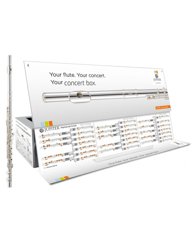 Jupiter JFL700REC-CBOX-EN Flute, open-hole keys, E mecha., Solid-silver riser, Concertbo x, English