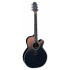 Takamine LTD2024