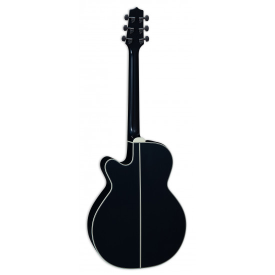 Takamine LTD2024