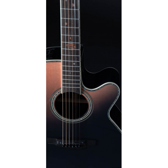 Takamine LTD2024