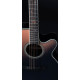 Takamine LTD2024