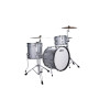 Ludwig L84433AX0SWC Classic Maple Pro Beat Silver Sparkle