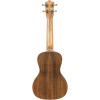 Lanikai LKUACST-C Concert Ukulele, Acacia Solid Top Series, Gigbag