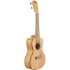 Lanikai LKUFM-C Concert Ukulele, Flame Maple Series, Gigbag