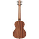 Lanikai LKULU21-T Tenor Ukulele, LU21-T