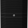 Mackie DRM212